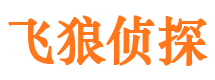 中牟市调查公司